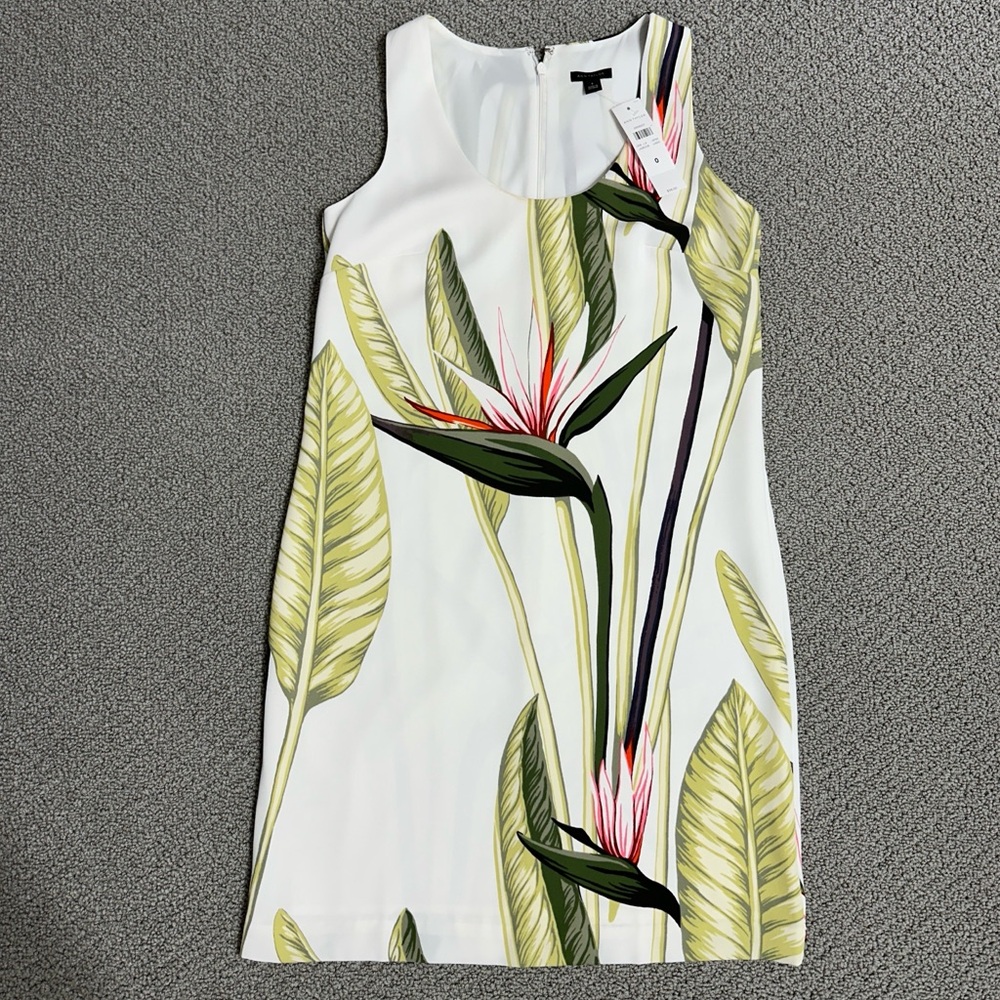 ANN TAYLOR BIRD OF PARADISE SHIFT DRESS